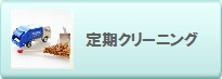 定期